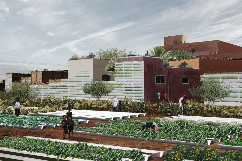 Urban Agriculture in Grand Casablanca