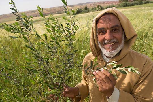 Spain & Morocco: Twin Shores, One Breadbasket
