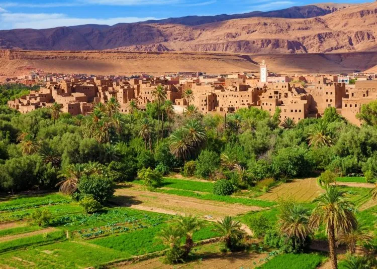 Agritourism and Educational Travel in Morocco