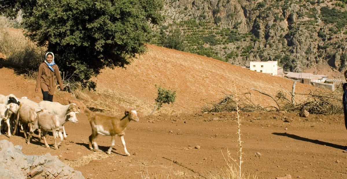 Sustainable Travel in Morocco